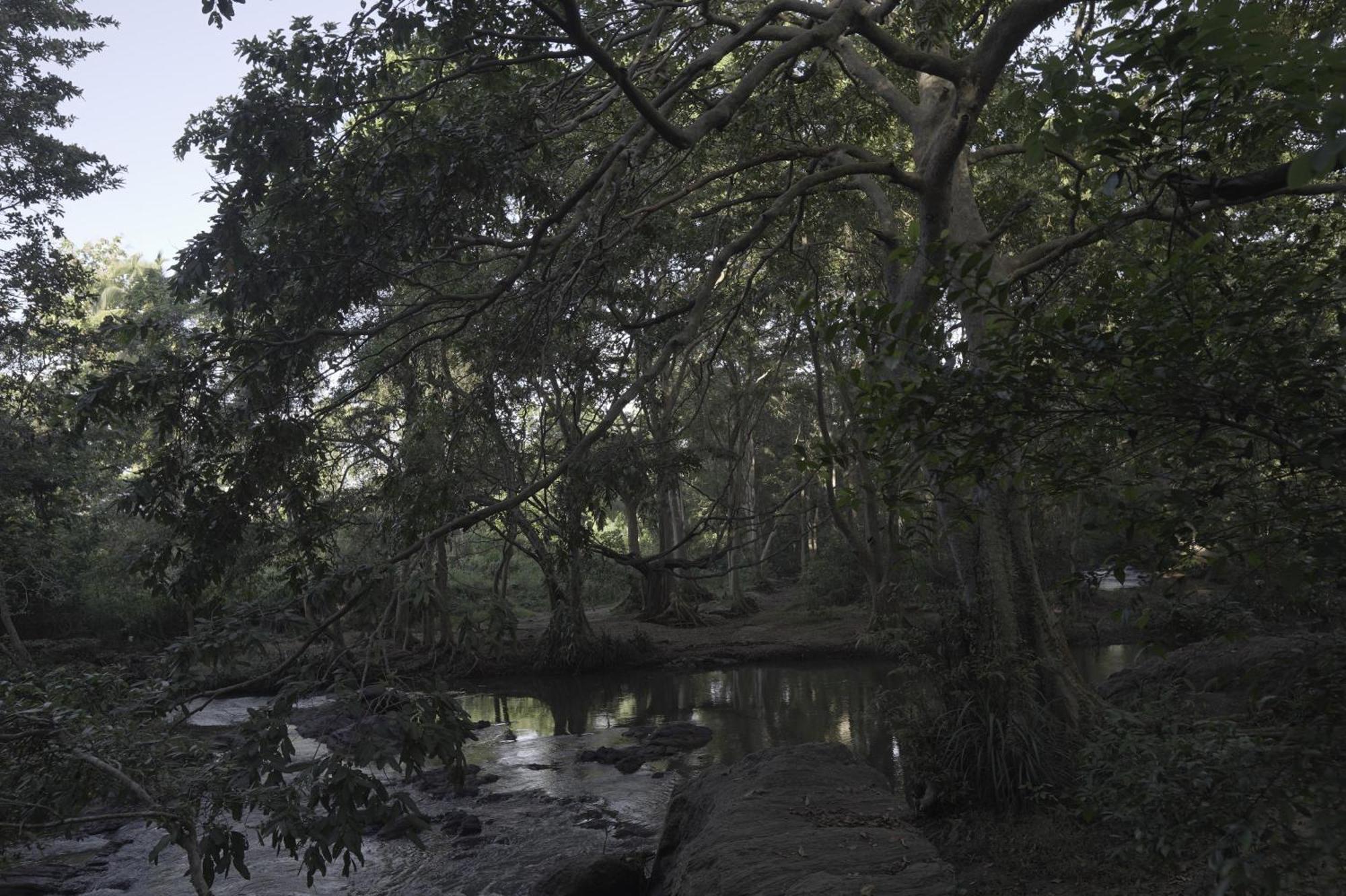 River Glamping By Gaga Bees Udawalawe Esterno foto