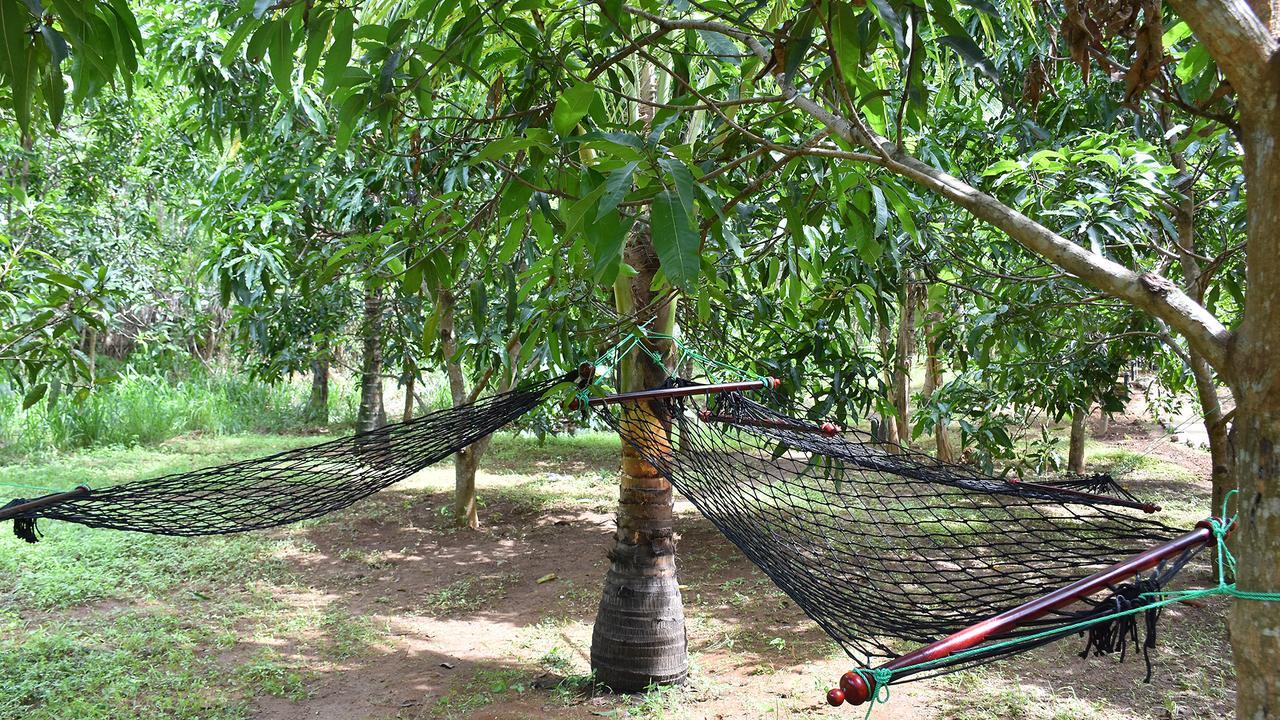 River Glamping By Gaga Bees Udawalawe Esterno foto