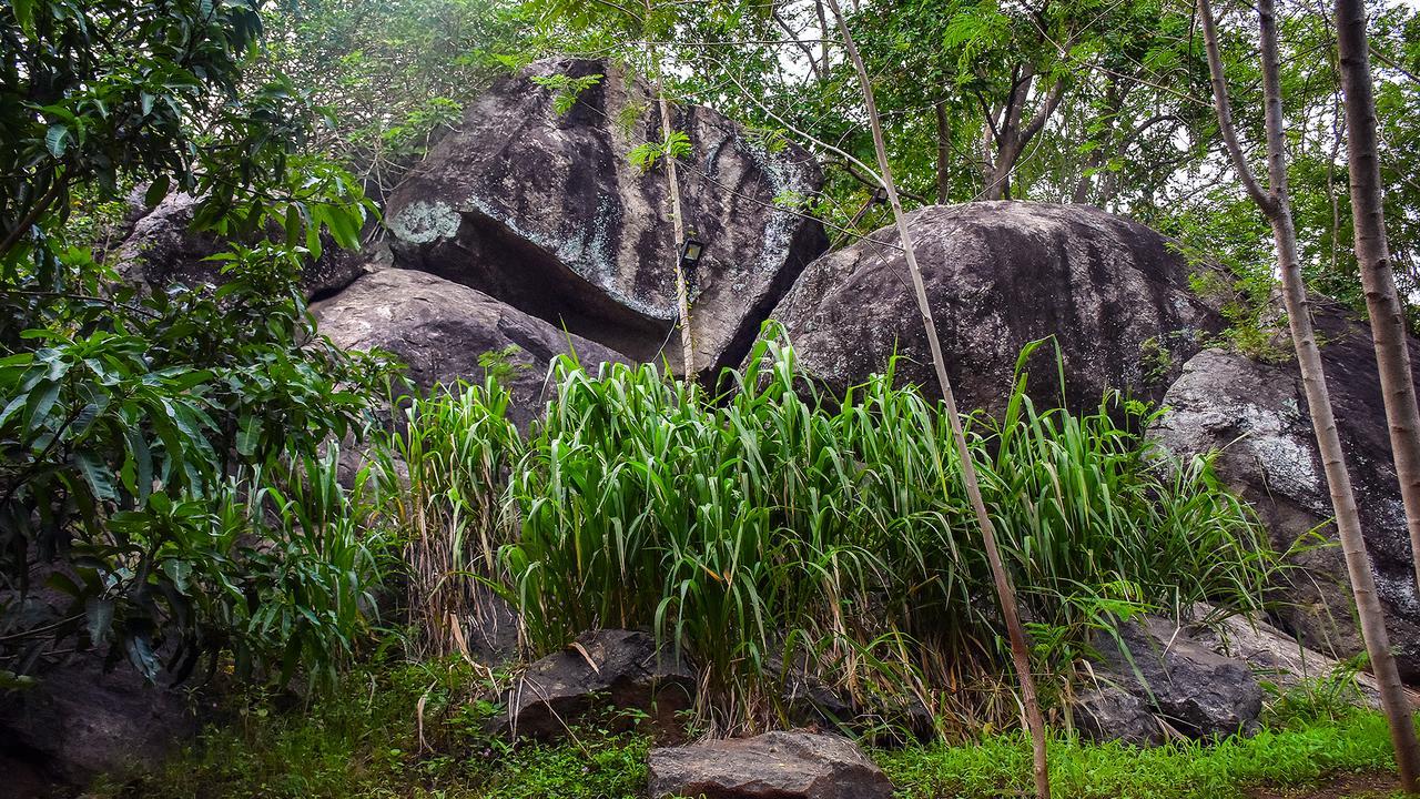 River Glamping By Gaga Bees Udawalawe Esterno foto