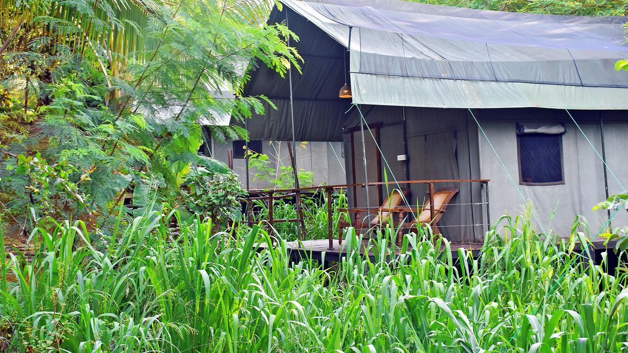 River Glamping By Gaga Bees Udawalawe Esterno foto