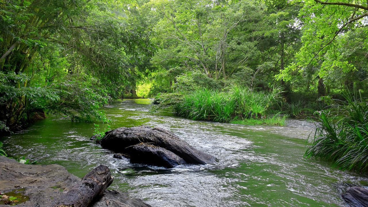 River Glamping By Gaga Bees Udawalawe Esterno foto