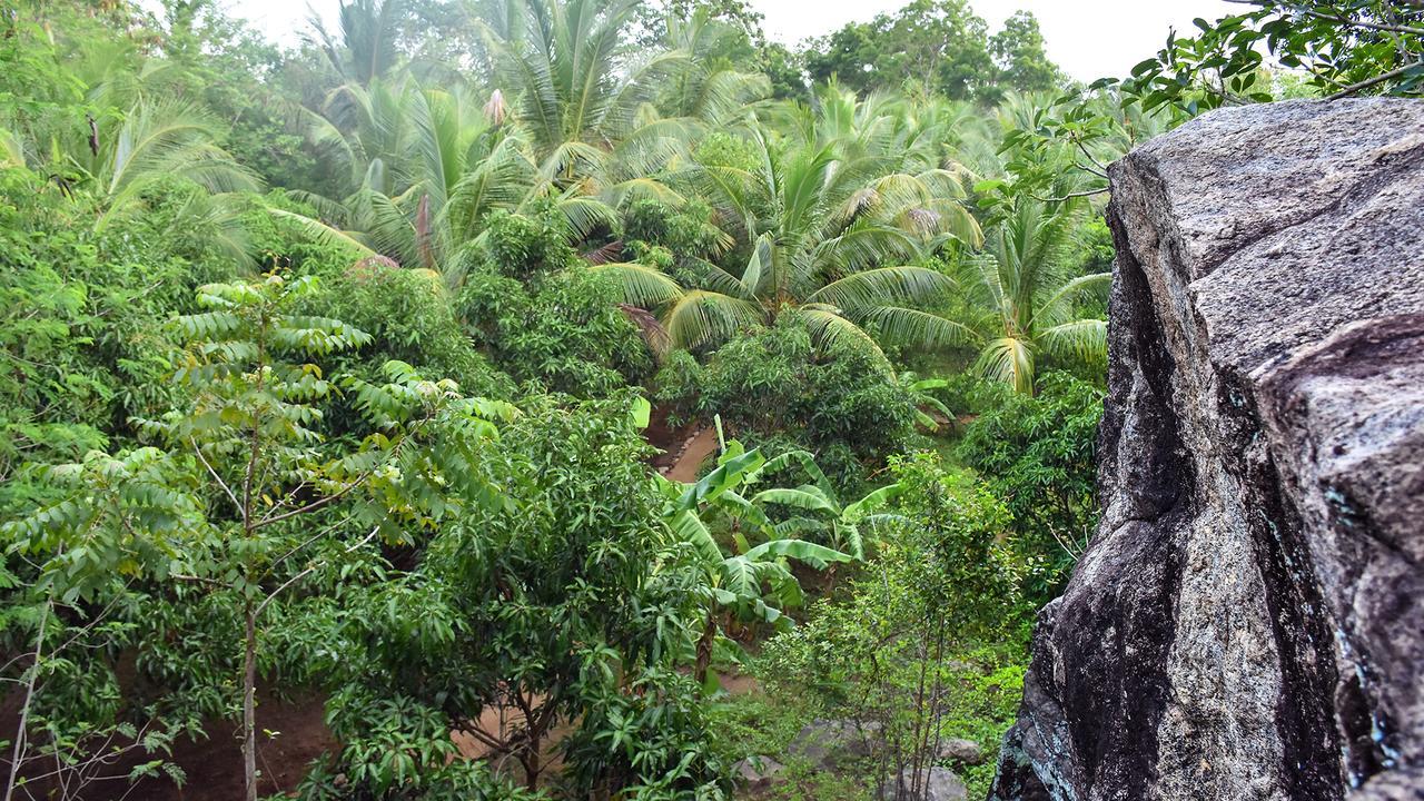 River Glamping By Gaga Bees Udawalawe Esterno foto